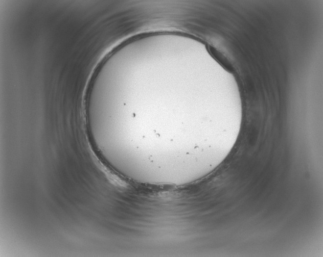 X0000063511380200602101914