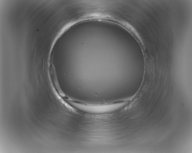 X0000063511381200602101914