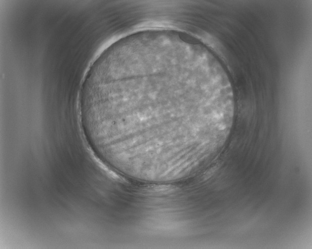 X0000063511382200602101914