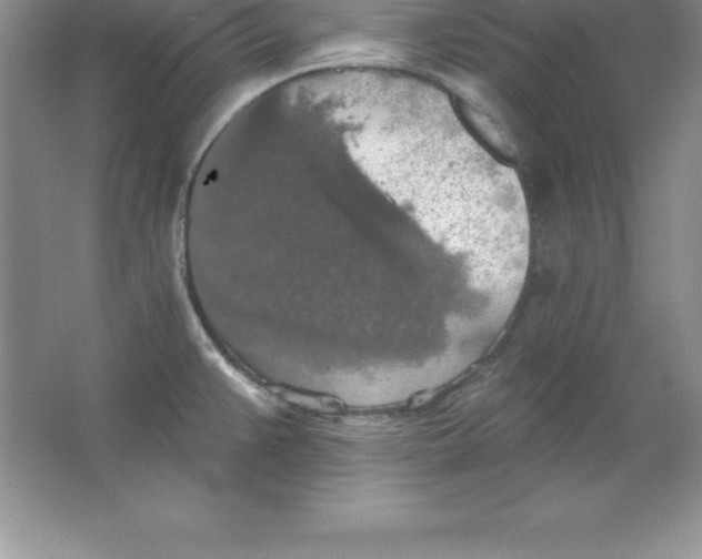 X0000063511383200602101914