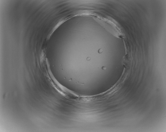 X0000063511385200602101914