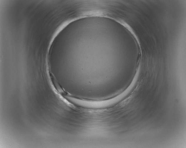 X0000063511389200602101914