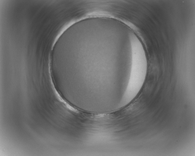 X0000063511390200602101914