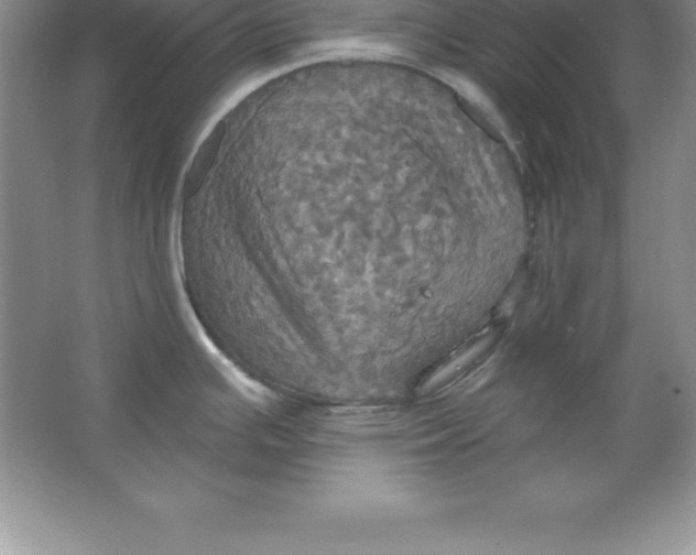 X0000063511391200602101914