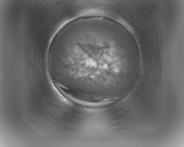 X0000063511392200602101914