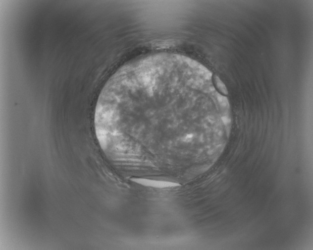 X0000063511393200602101913