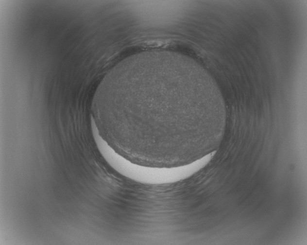 X0000063511394200602101913