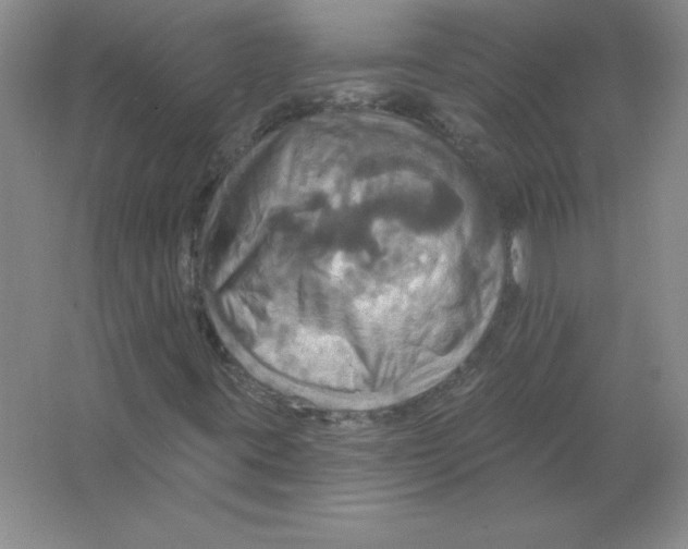 X0000063511395200602101913