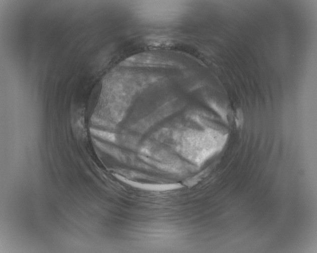 X0000063511396200602101913