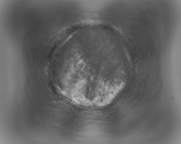 X0000063511397200602101913