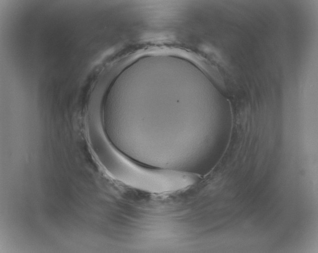 X0000063511398200602101913