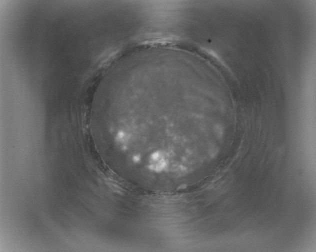 X0000063511399200602101913