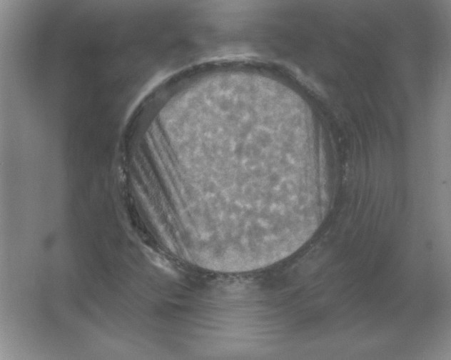 X0000063511400200602101913