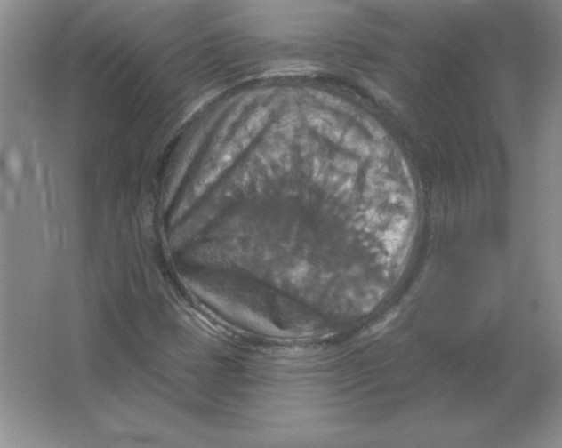 X0000063511401200602101913