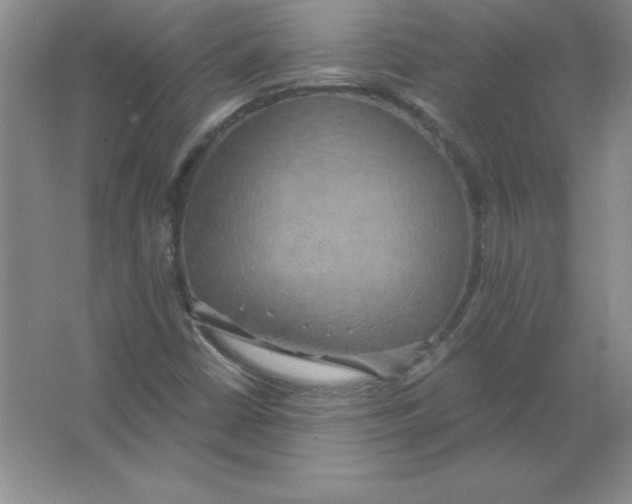 X0000063511402200602101913