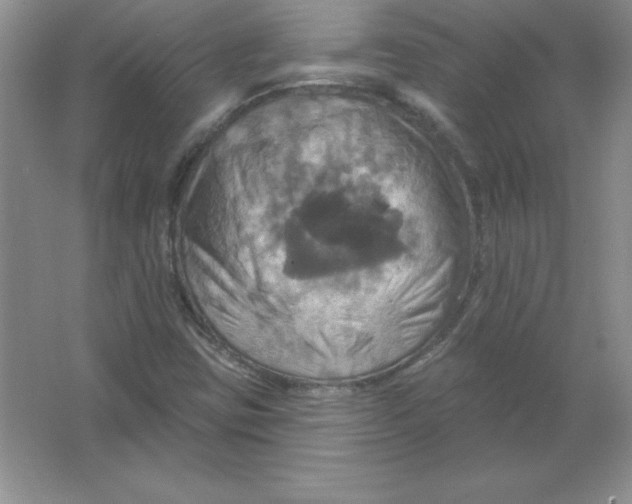 X0000063511403200602101913