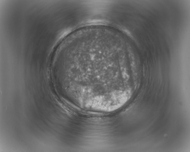 X0000063511405200602101913