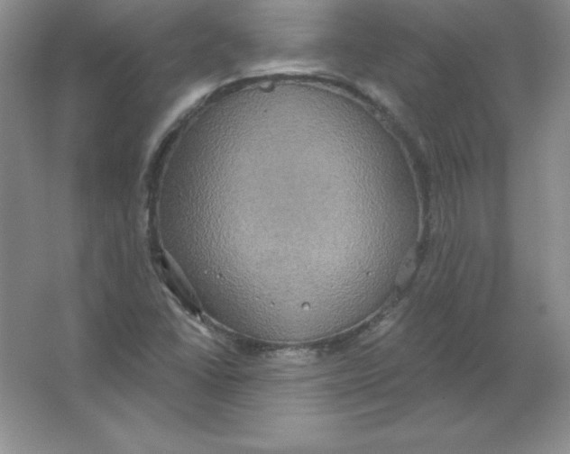 X0000063511406200602101913