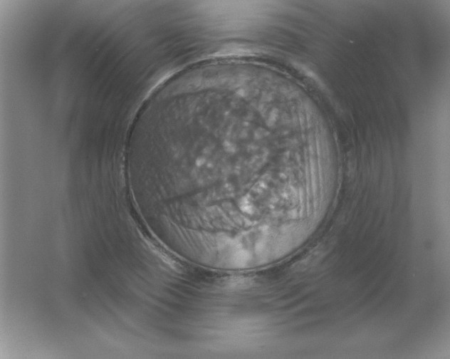 X0000063511409200602101913