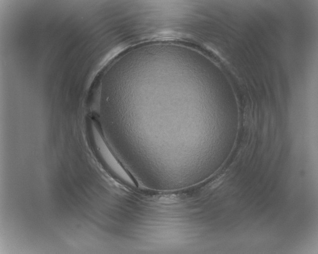 X0000063511410200602101913