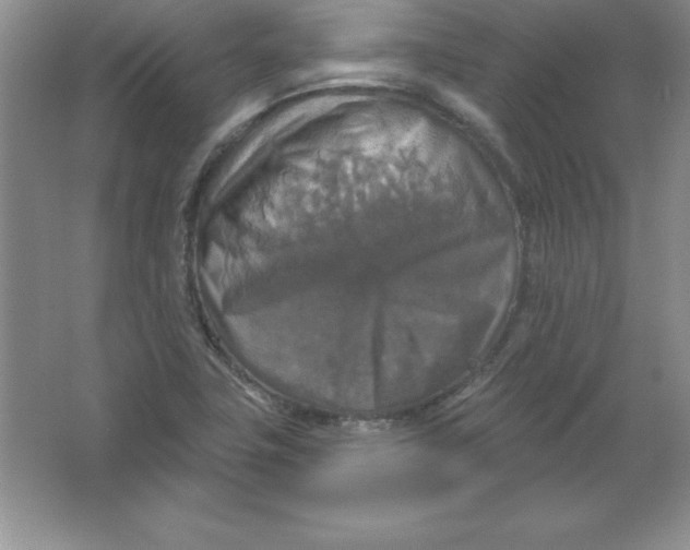 X0000063511411200602101913