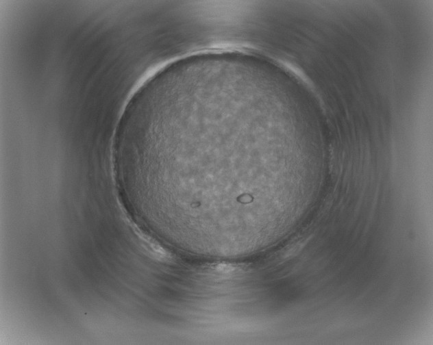 X0000063511412200602101913