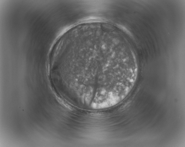 X0000063511413200602101913