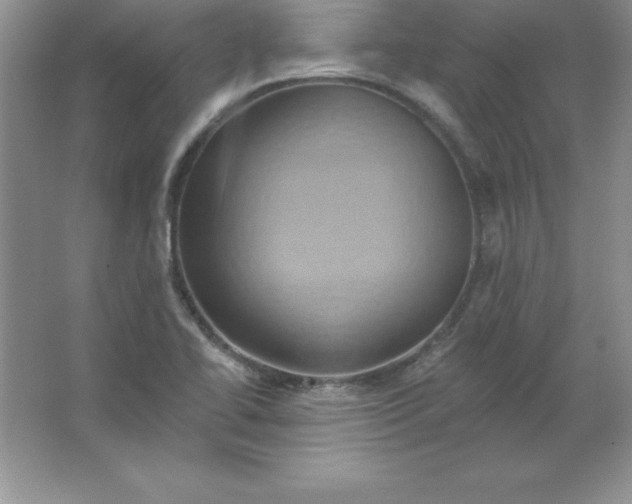 X0000063511414200602101913