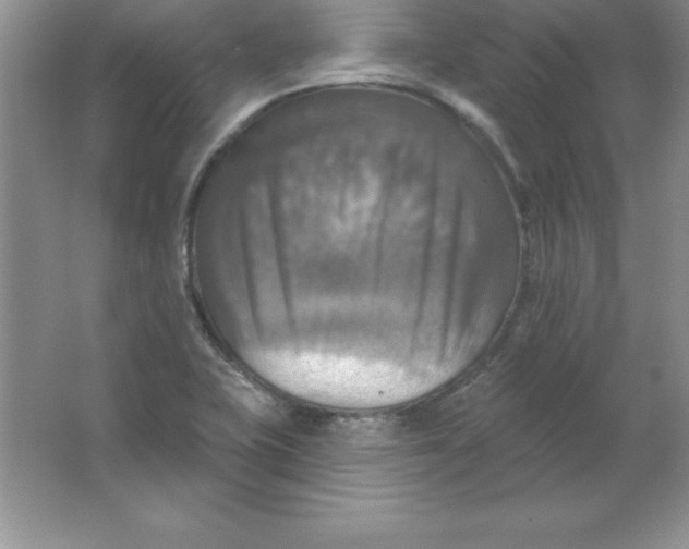 X0000063511415200602101913