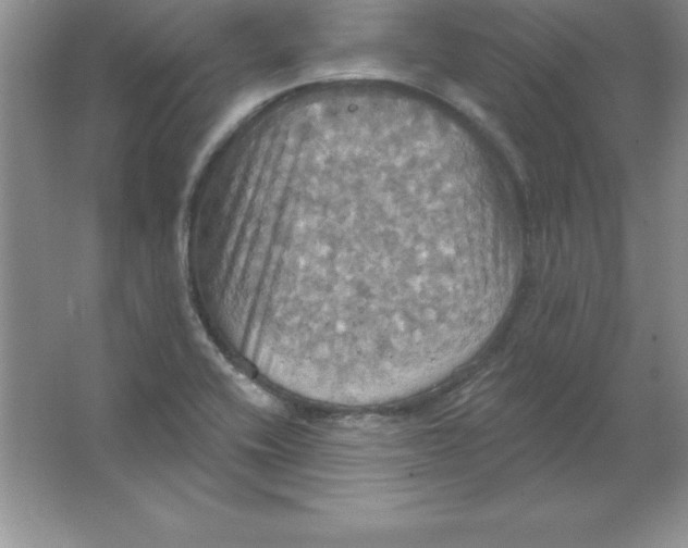 X0000063511416200602101913