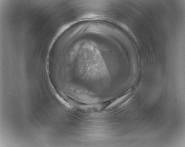 X0000063511421200602101914