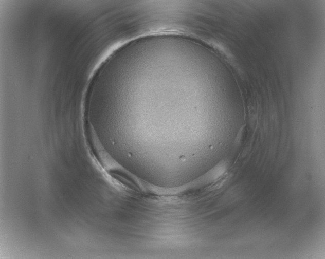 X0000063511422200602101914