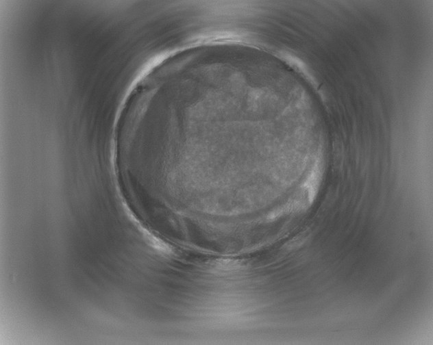 X0000063511424200602101914