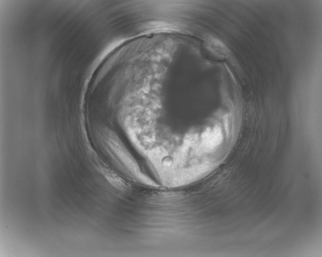 X0000063511427200602101914