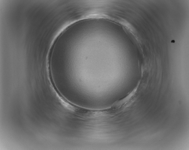 X0000063511430200602101914