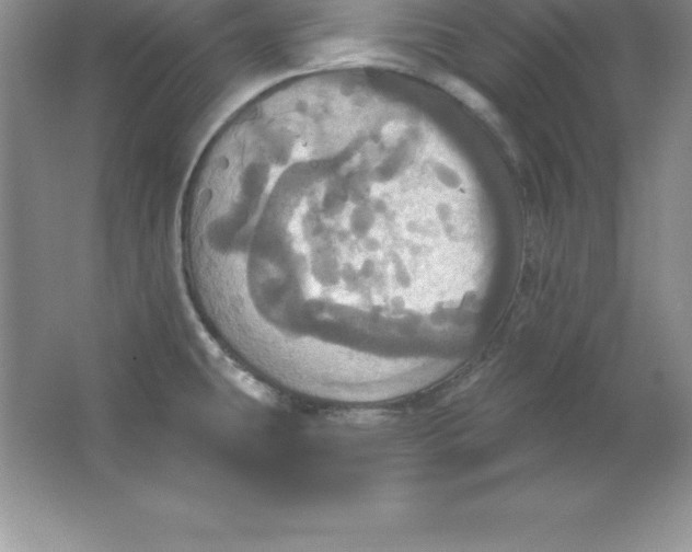 X0000063511431200602101914