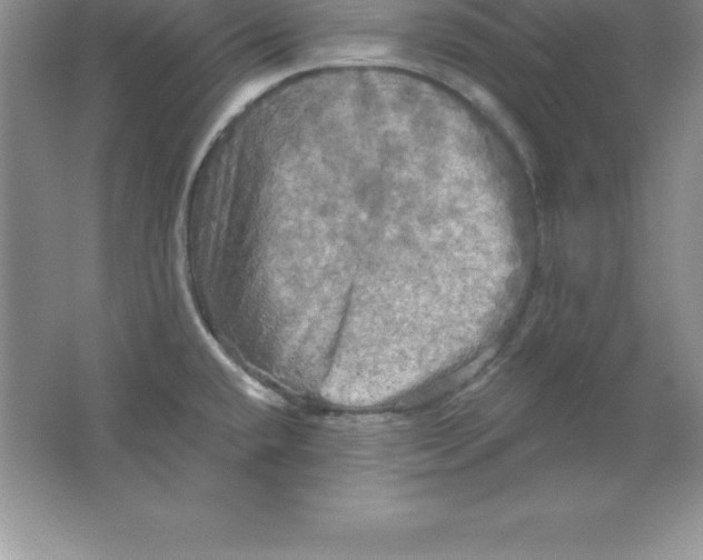 X0000063511432200602101914