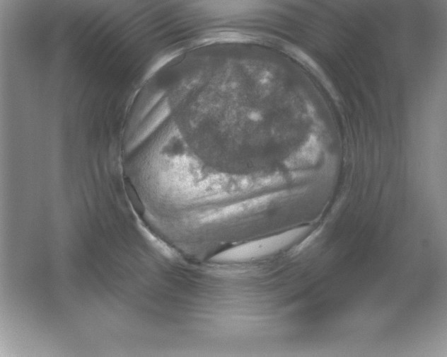 X0000063511433200602101914