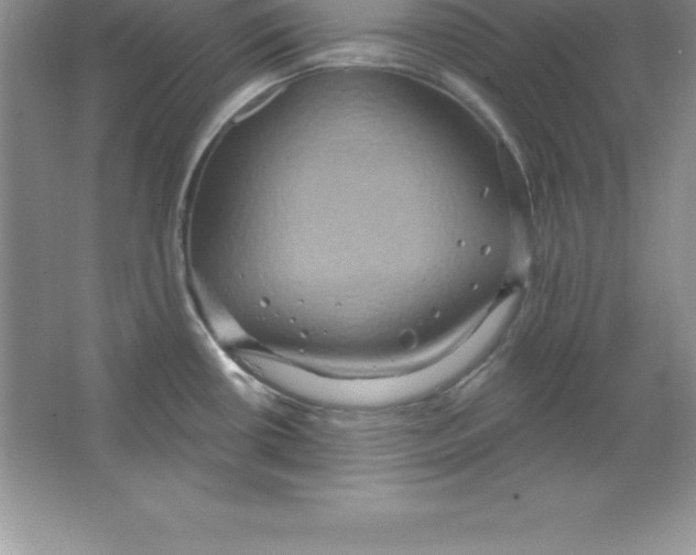 X0000063511434200602101914