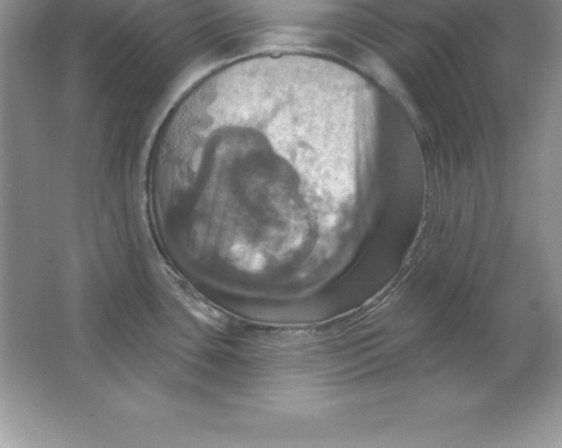 X0000063511435200602101914