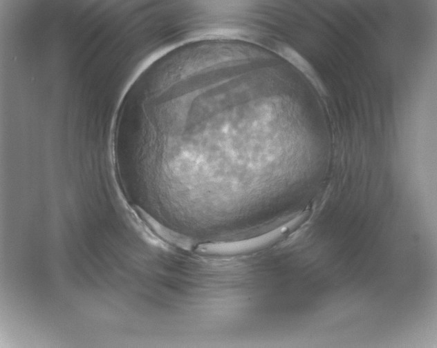 X0000063511436200602101914