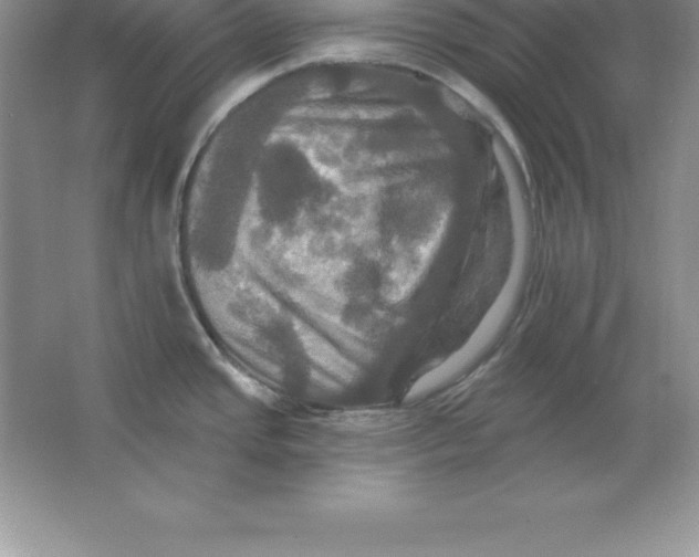 X0000063511437200602101914