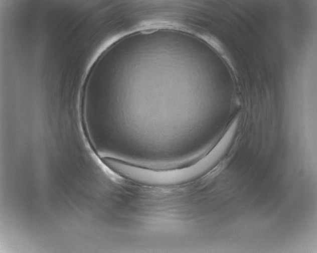 X0000063511438200602101914