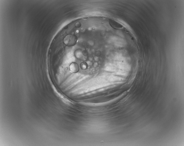 X0000063511439200602101914