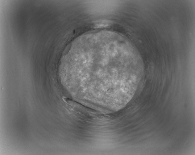 X0000063511441200602101913