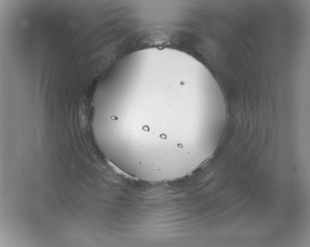 X0000063511442200602101913