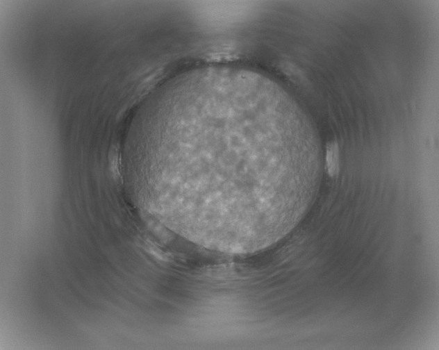 X0000063511444200602101913