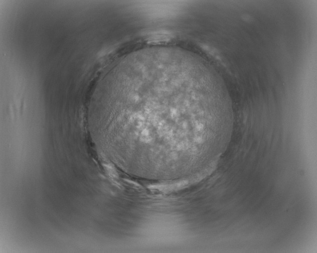 X0000063511445200602101913