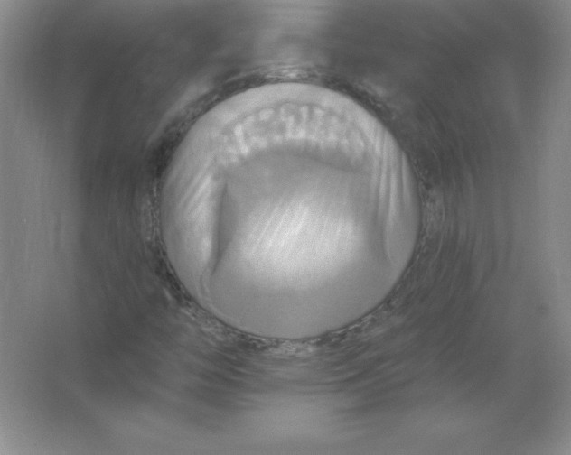 X0000063511446200602101913