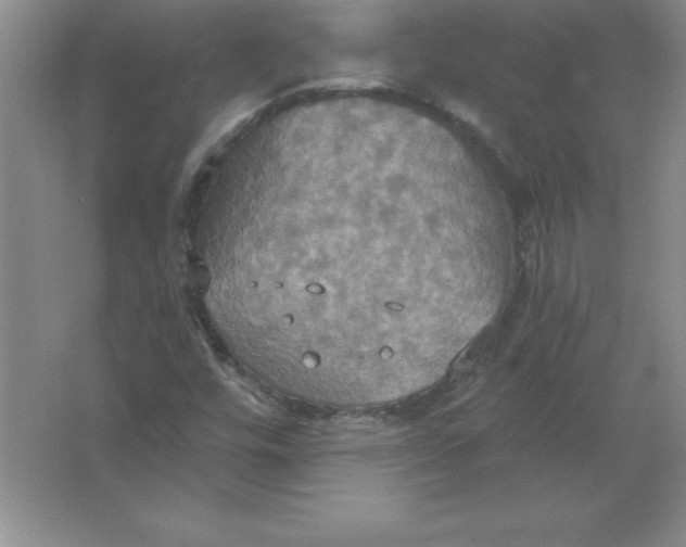 X0000063511448200602101913